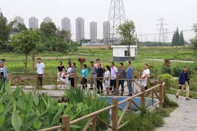 泰興鎮人大代表團開展《水污染防治法》專項視察，推進水污染治理工作