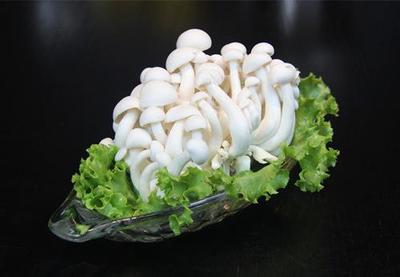 山東廣饒工廠化白玉菇 高科技農(nóng)業(yè)典范，優(yōu)質(zhì)農(nóng)產(chǎn)品遠銷海外